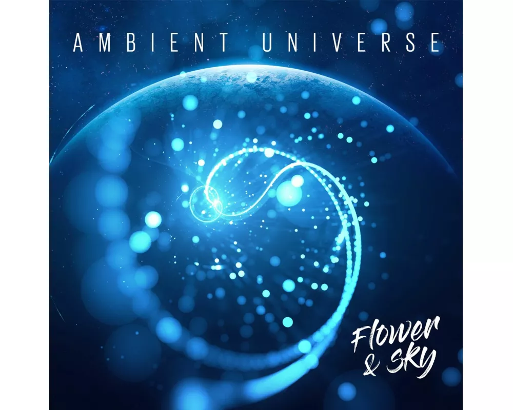 Ambient Universe