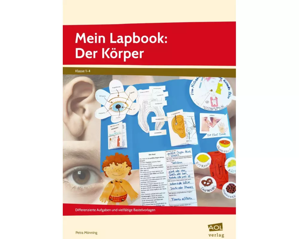 Mein Lapbook: Der Körper