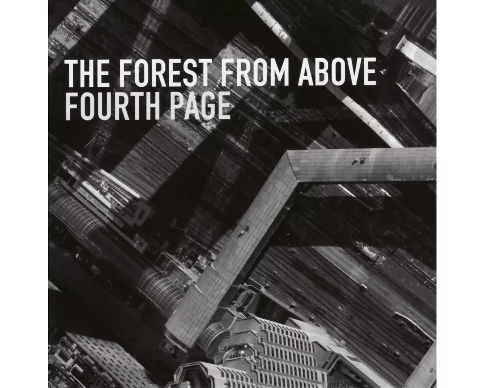The Forest From Above