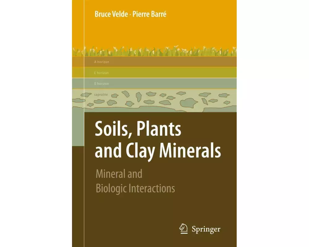 Soils, Plants and Clay Minerals