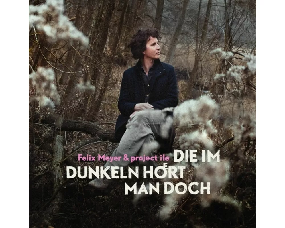 Die Im Dunkeln Hoert Man Doch