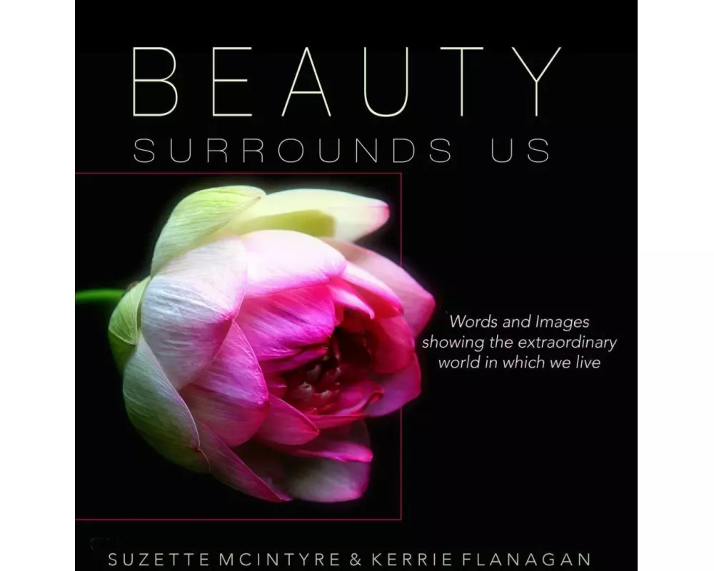 Beauty Surrounds Us