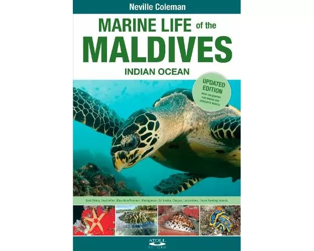 Marine Life of the Maldives - Indian Ocean