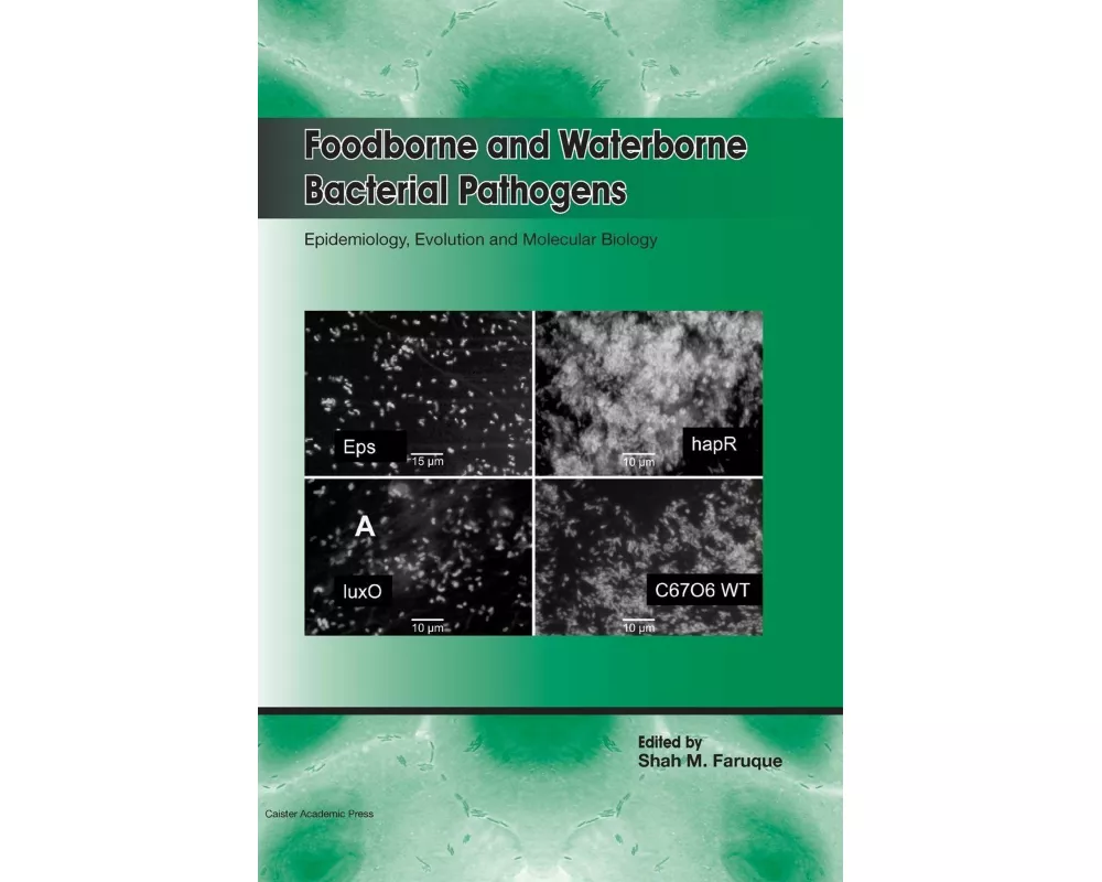 Foodborne and Waterborne Bacterial Pathogens: Epidemiology, Evolution and Molecular Biology