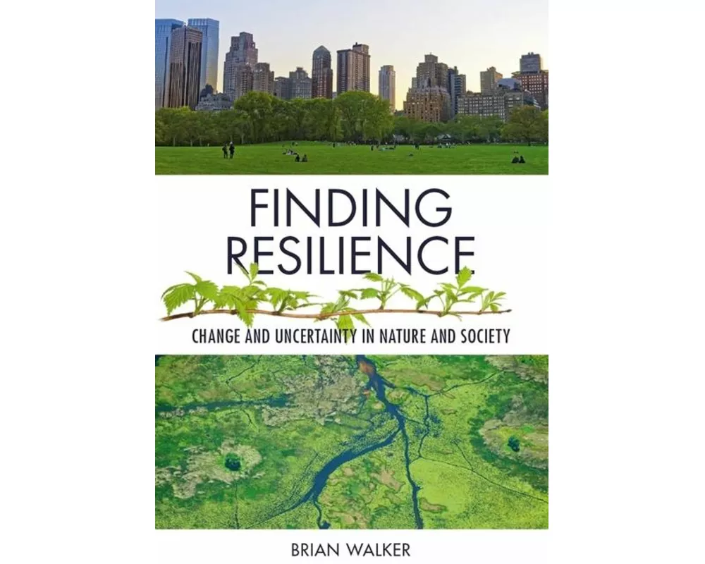 Finding Resilience
