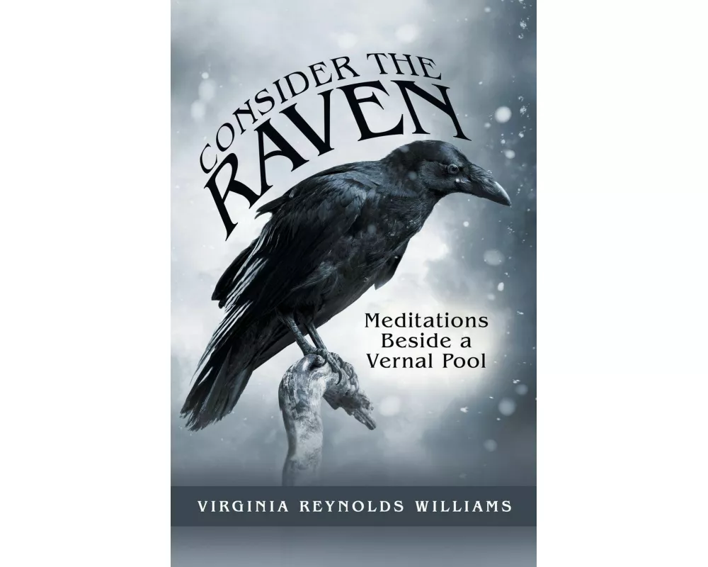Consider the Raven