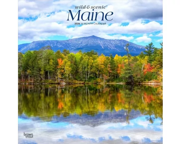 Maine Wild & Scenic 2026 12 X 24 Inch (Hanging) Monthly Square Wall Calendar Plastic-Free