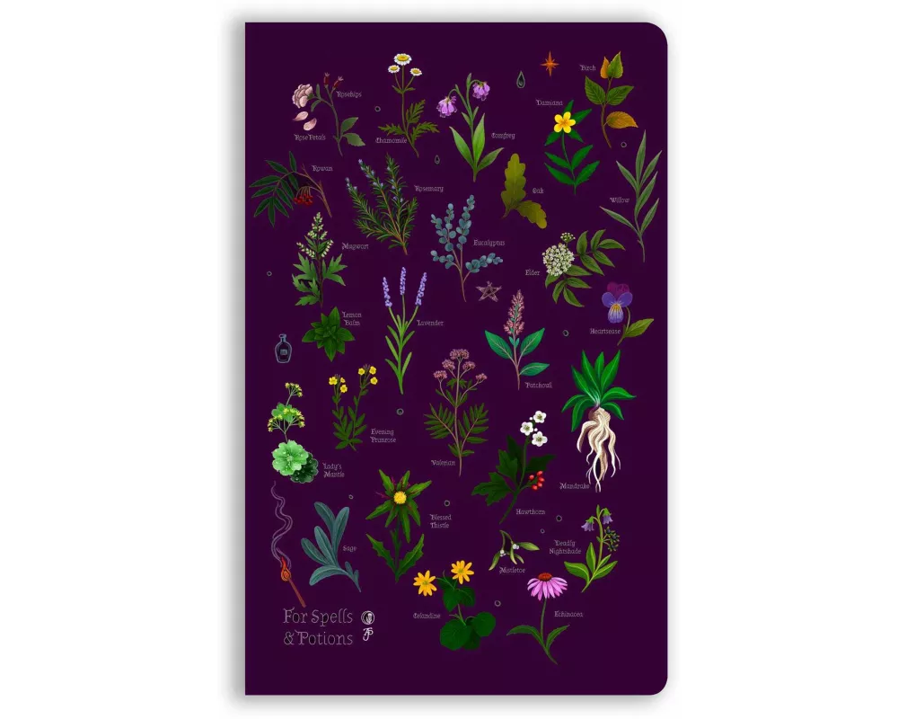 Anna Stead: For Spells & Potions (Soft Touch Journal)