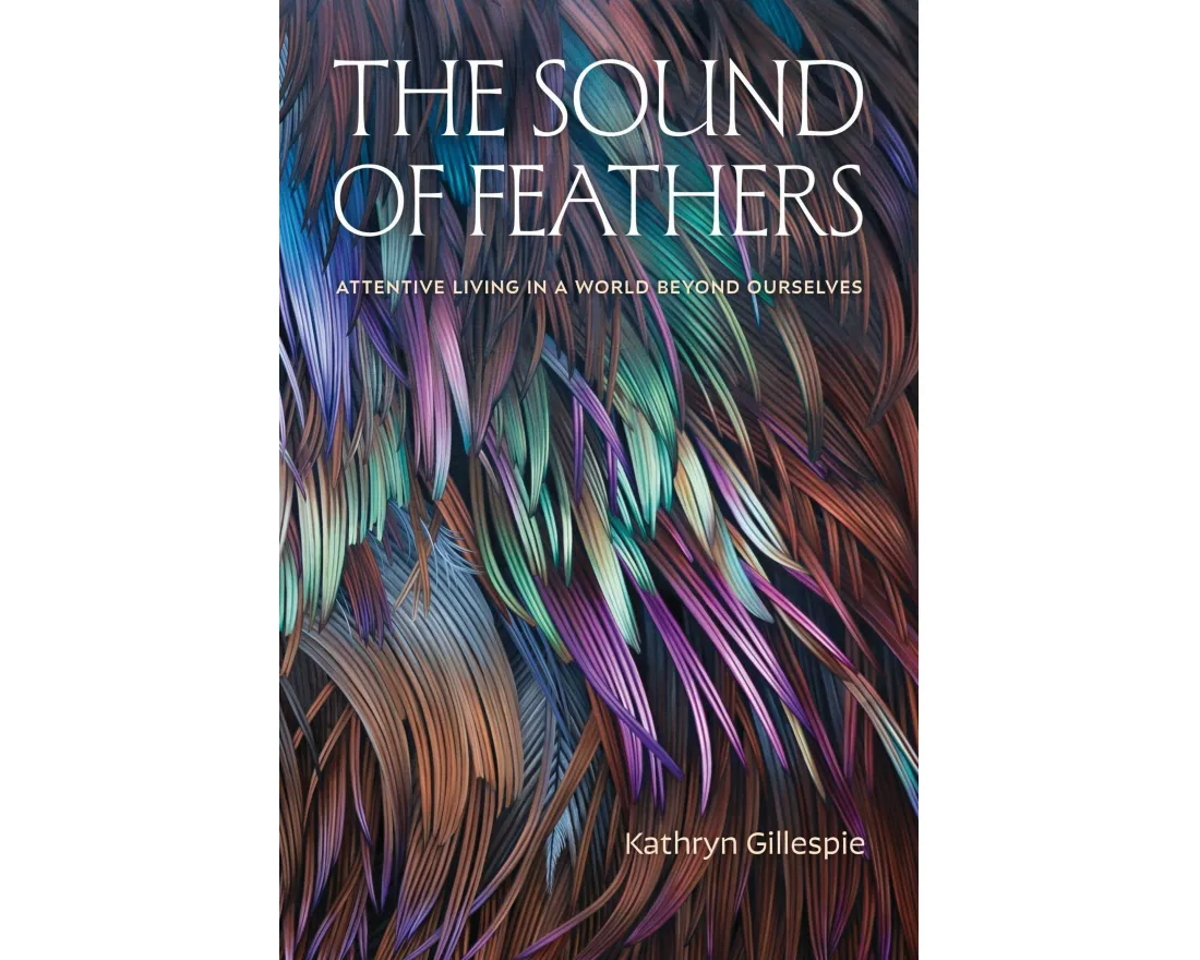 The Sound of Feathers