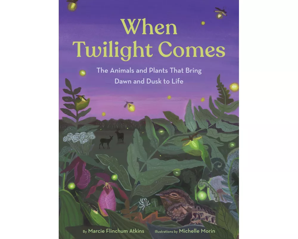 When Twilight Comes