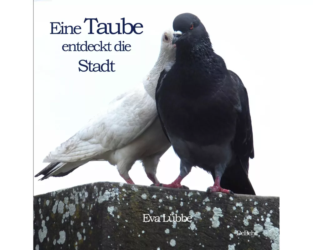 Eine Taube entdeckt die Stadt