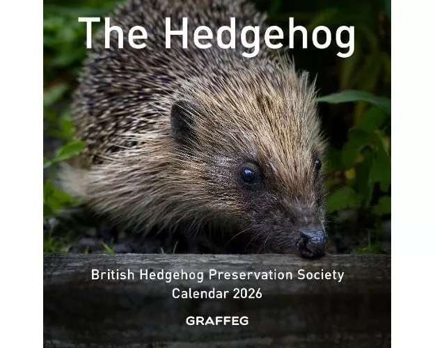 The Hedgehog Calendar 2026
