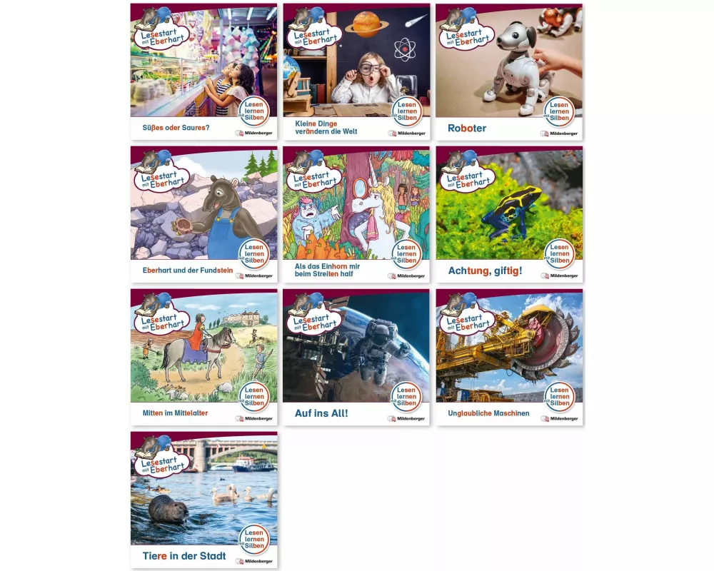 Paket - Lesestart mit Eberhart, Lesestufe 5: Komplettbezug Heft 91-100