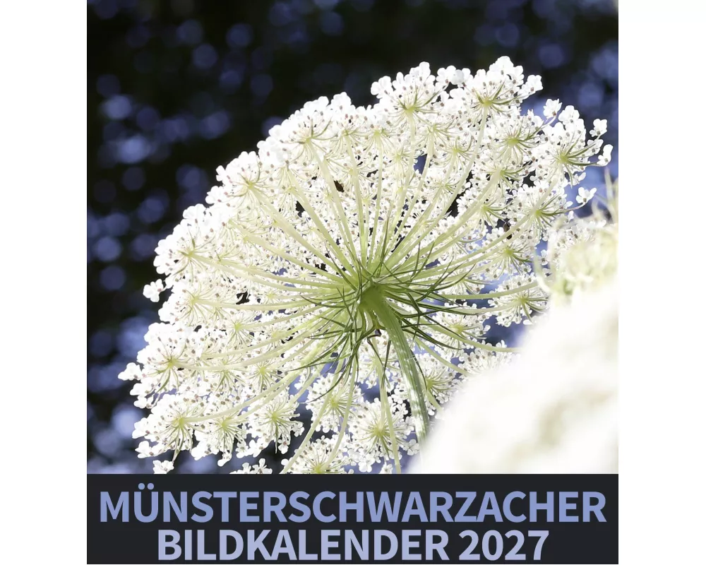 Münsterschwarzacher Bildkalender 2027