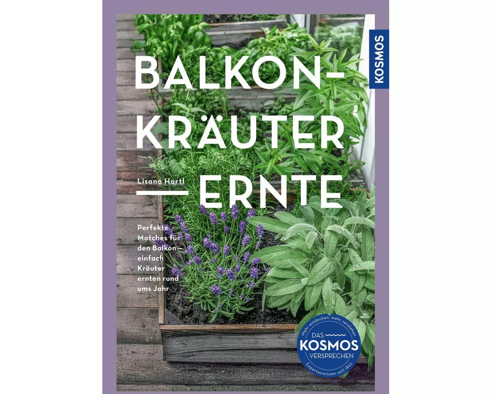 Balkon-Kräuter-Ernte