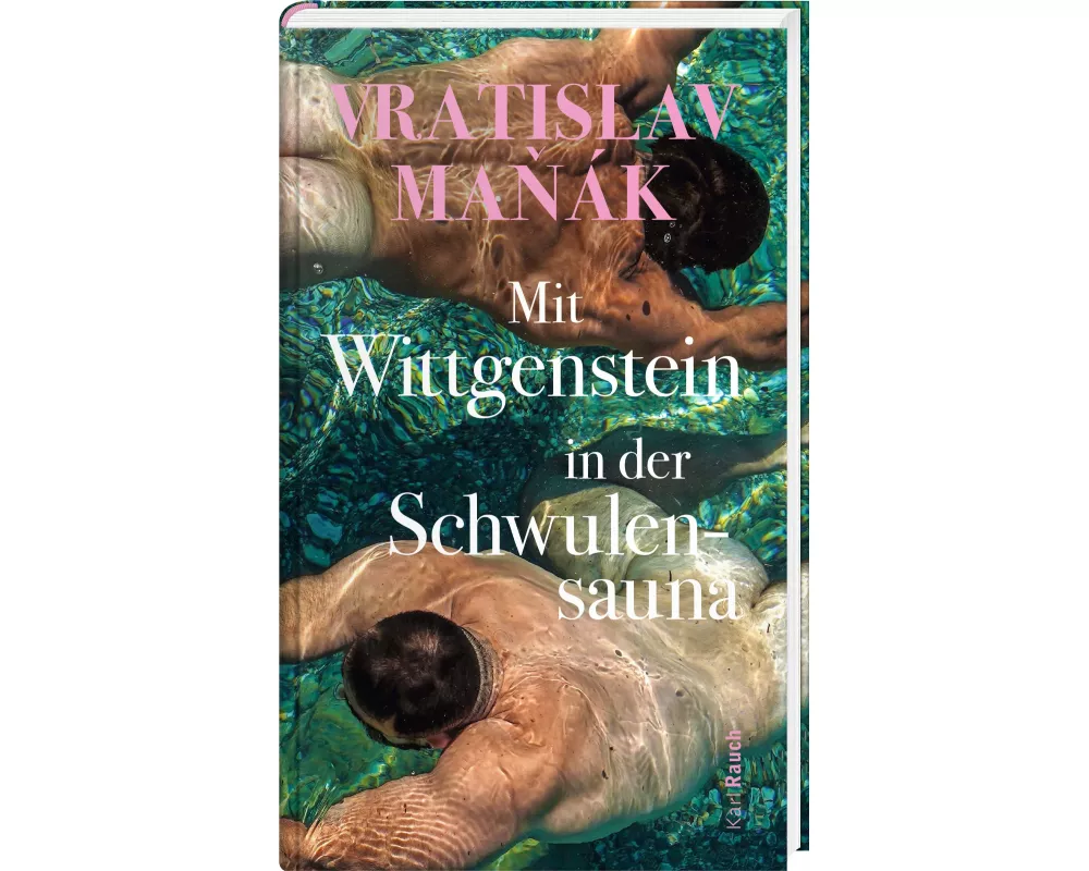 Mit Wittgenstein in der Schwulensauna