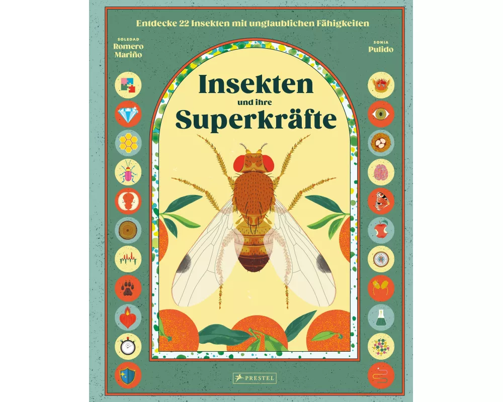 Insekten und ihre Superkräfte
