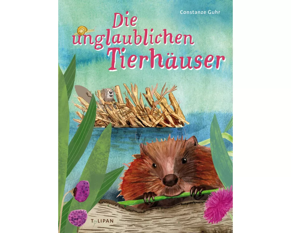 Die unglaublichen Tierhäuser