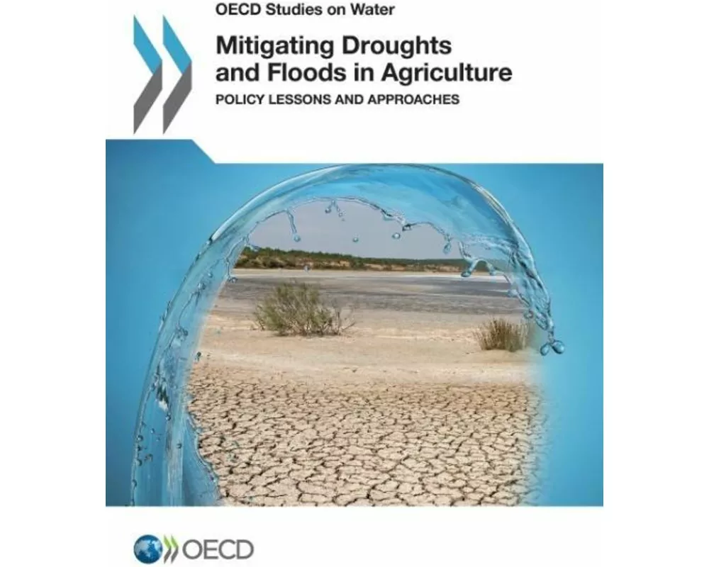 Mitigating Droughts and Floods in Agriculture
