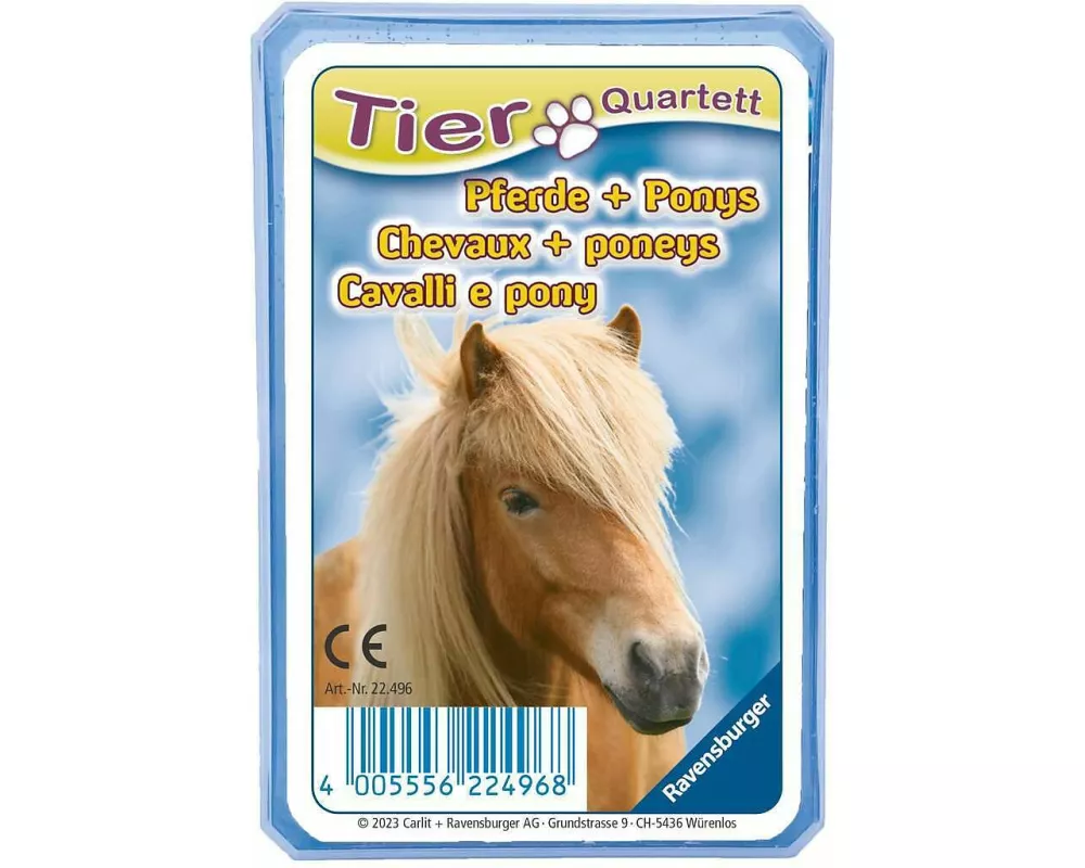 Quartett: Pferde + Ponys