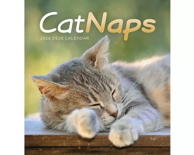 Cat Naps Easel Desk Calendar 2026