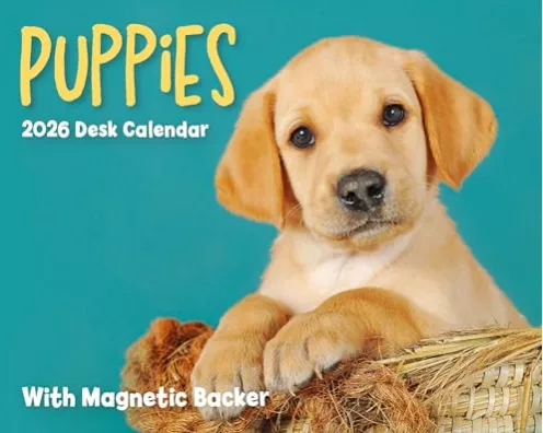 Puppies Mini Box Calendar 2026