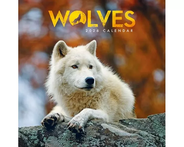 Wolves Square Mini Calendar 2026