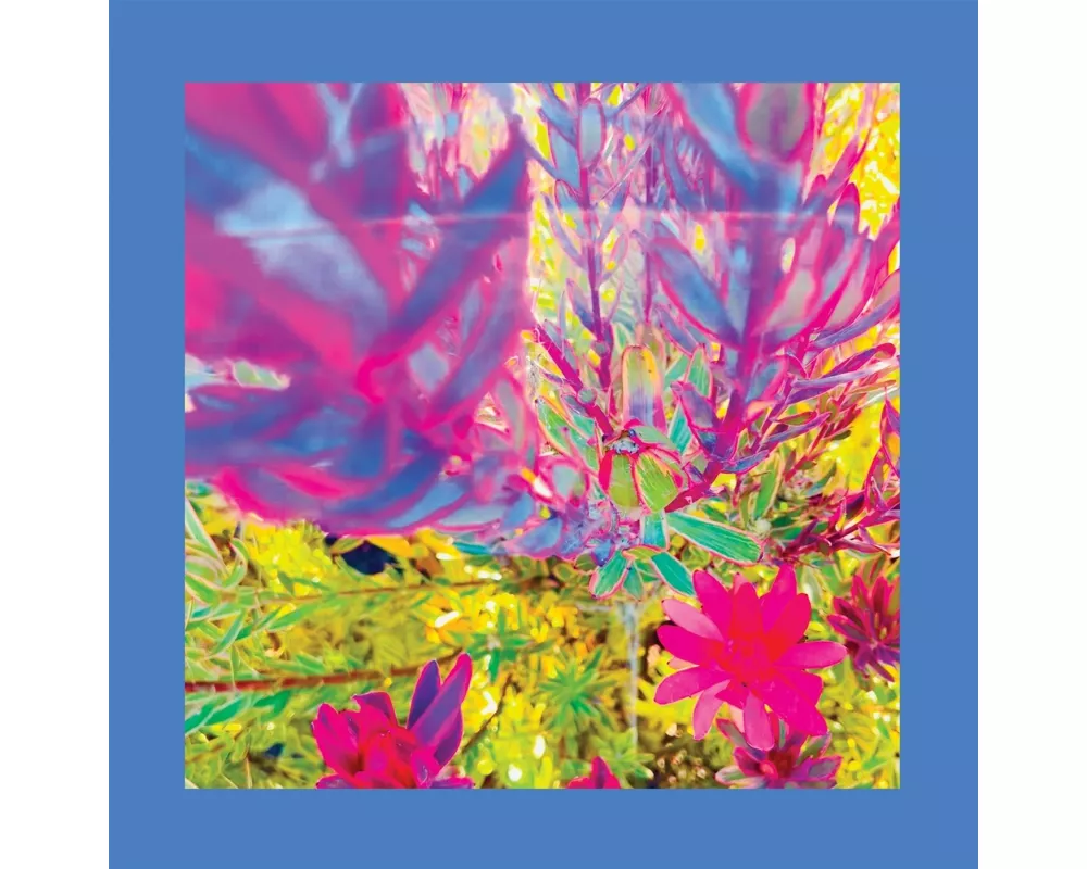 The Past is a Garden I Never Fed