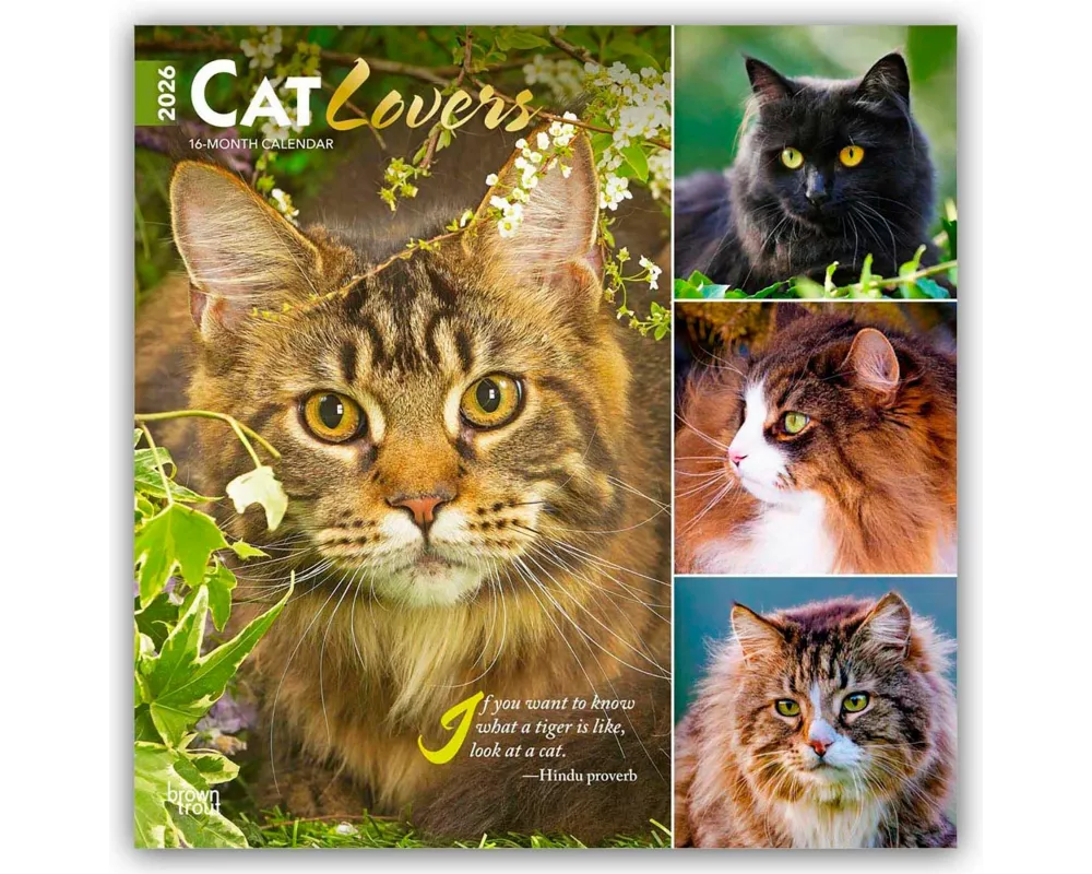 Cat Lovers 2026 12 X 24 Inch (Hanging) Monthly Square Wall Calendar Foil Stamped Cover Plastic-Free