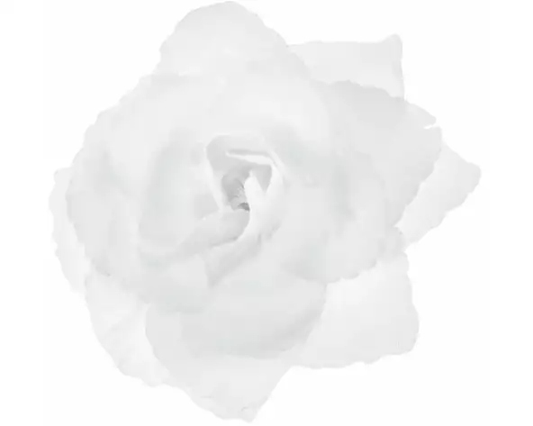 Partydeco Hochzeitsaccessoire Autodekoration Rose Selbstklebend Weiss