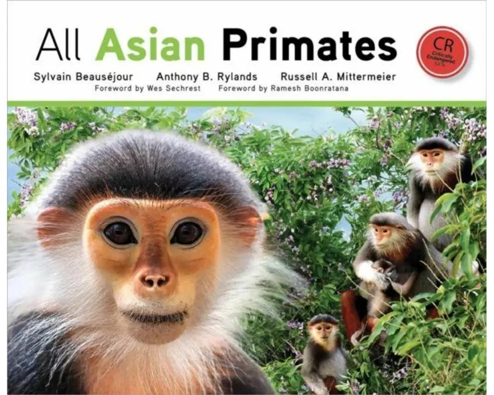All Asian Primates