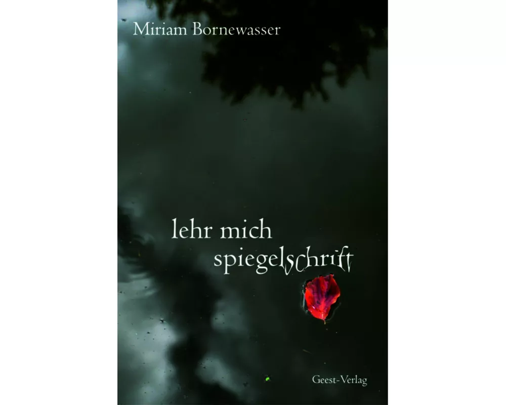 lehr mich spiegelschrift