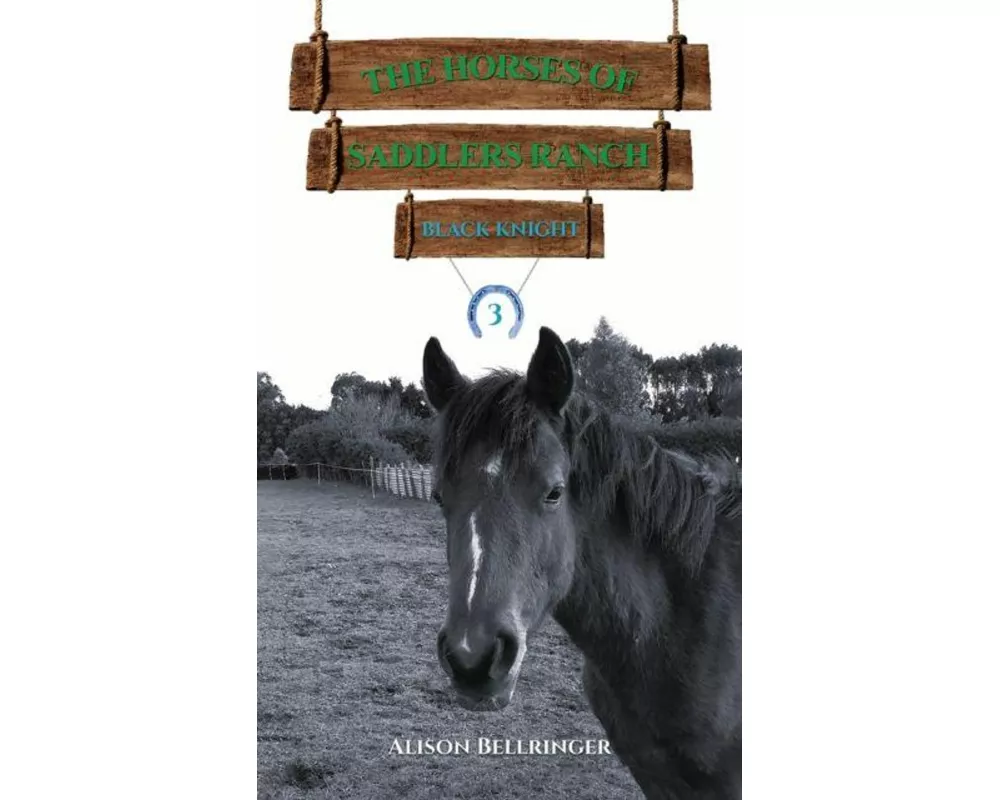 The Horses of Saddlers Ranch: Black Knight
