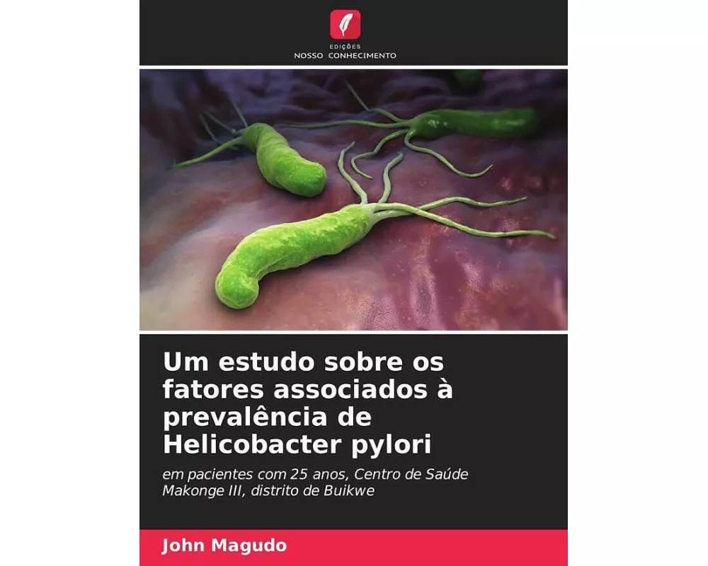 Um estudo sobre os fatores associados à prevalência de Helicobacter pylori