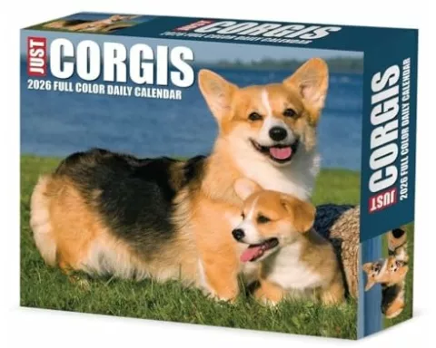 Corgis 2026 Box Calendar