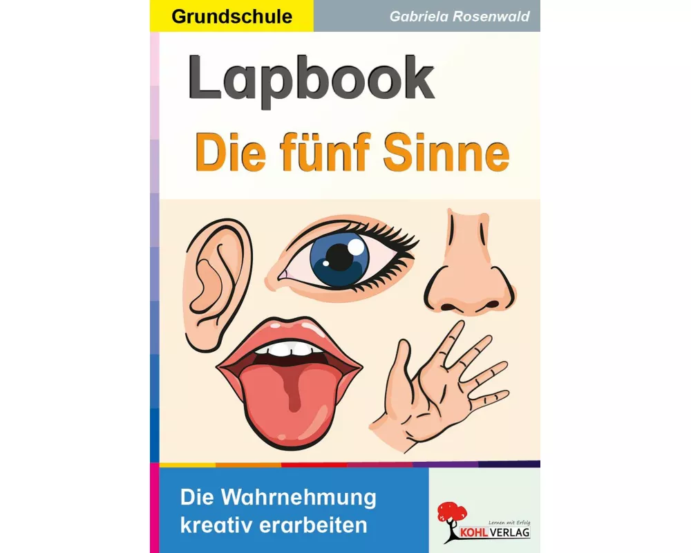 Lapbook Die fünf Sinne