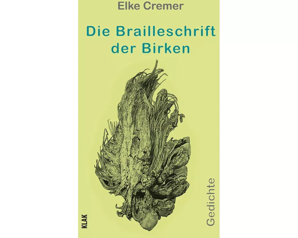 Die Brailleschrift der Birken