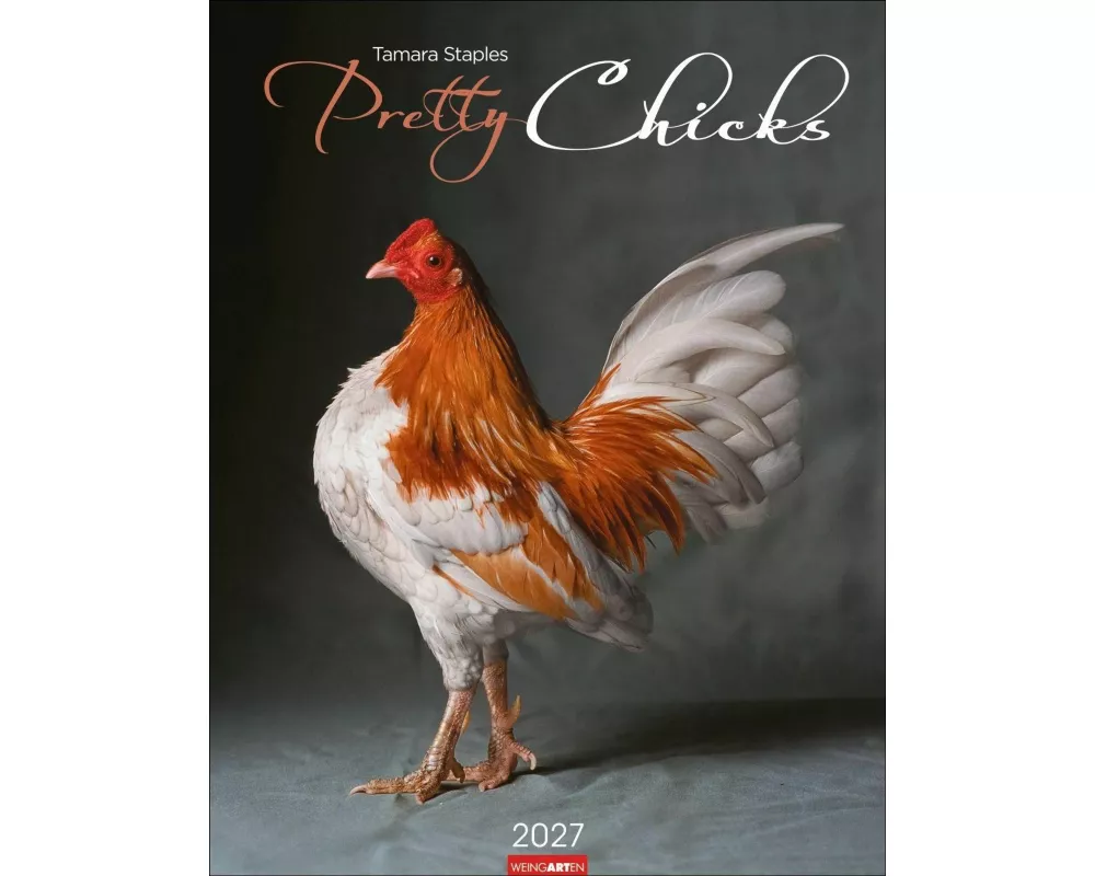 Pretty Chicks Kalender 2027