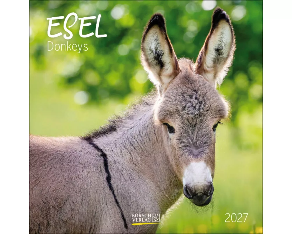 Esel 2027
