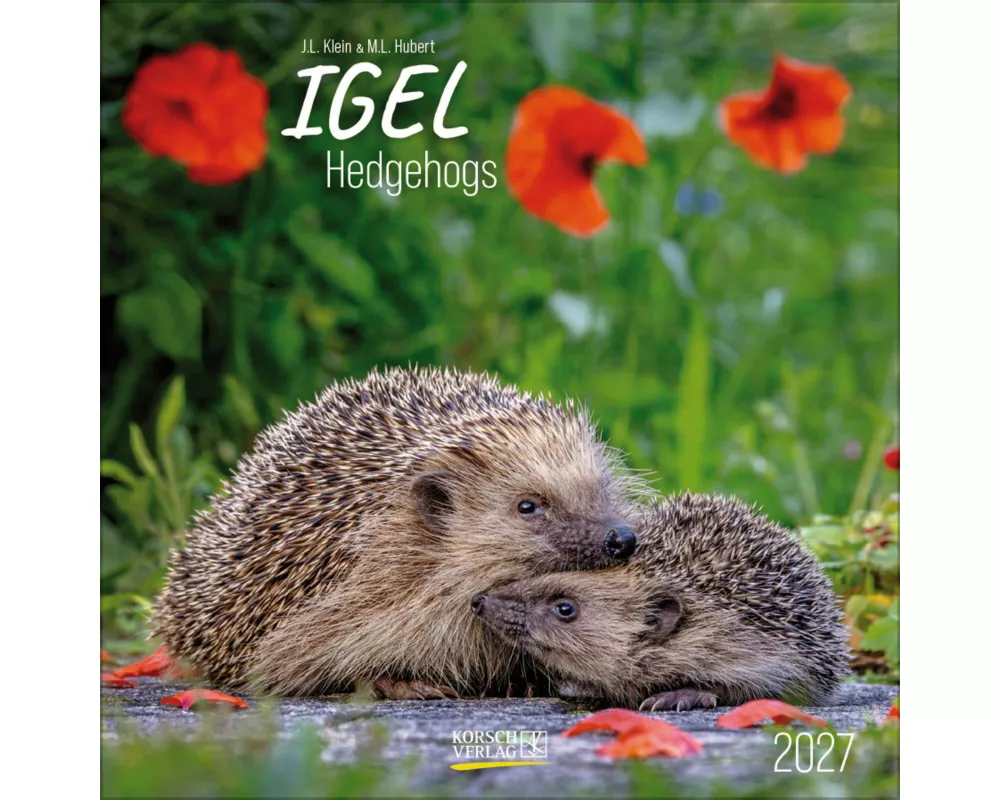Igel 2027