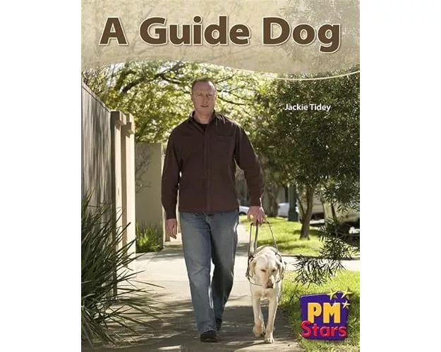 A Guide Dog