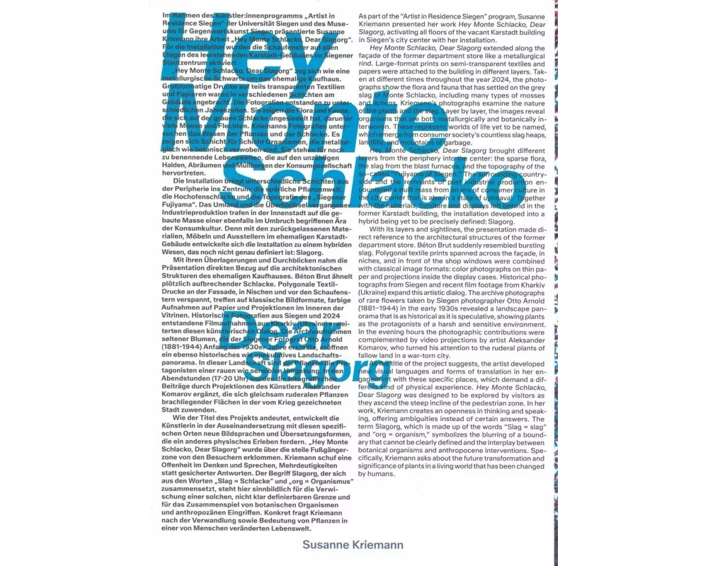 Susanne Kriemann: Hey Monte Schlacko / Dear Slagorg