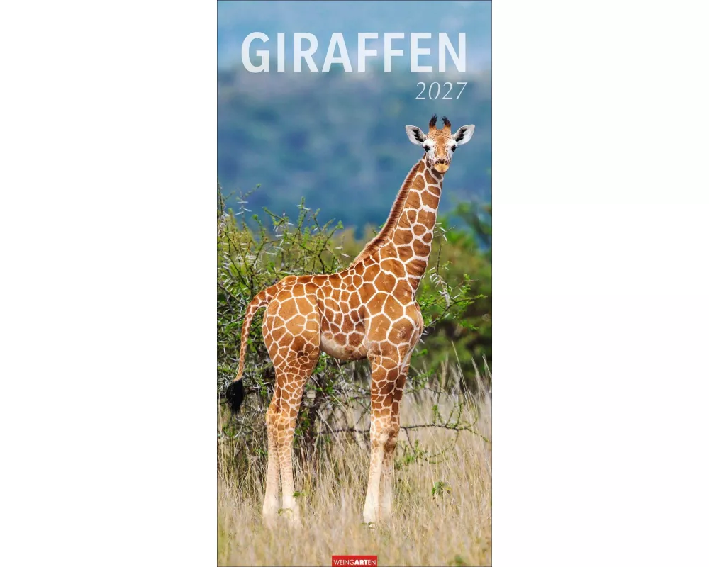 Giraffen Kalender 2027