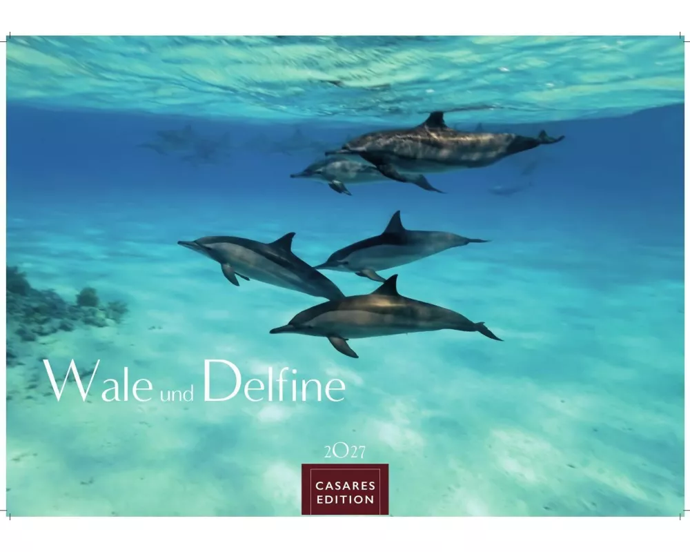 Wale und Delfine Kalender 2027 - Wandkalender | Fotokalender Tierkalender 24x35cm - Hochwertige Fotografien von Walen und Delfinen, die jeden Monat be