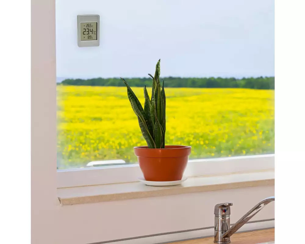 TFA Dostmann Fensterthermometer WINDOO wetterfest digital selbstklebend