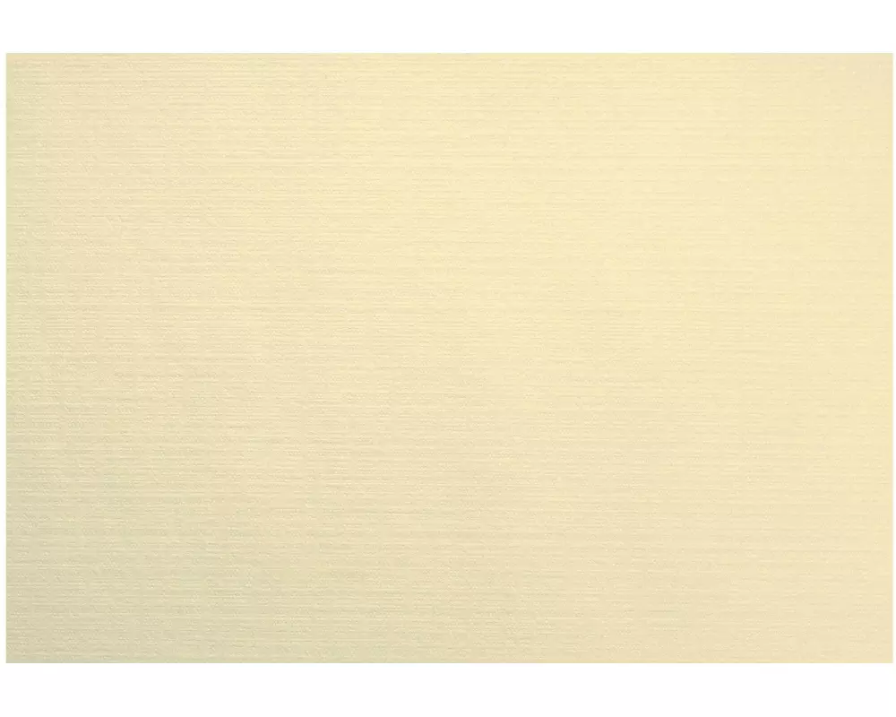 Duni Tischset Uni 75 Stück, 30 cm x 40 cm, Cream