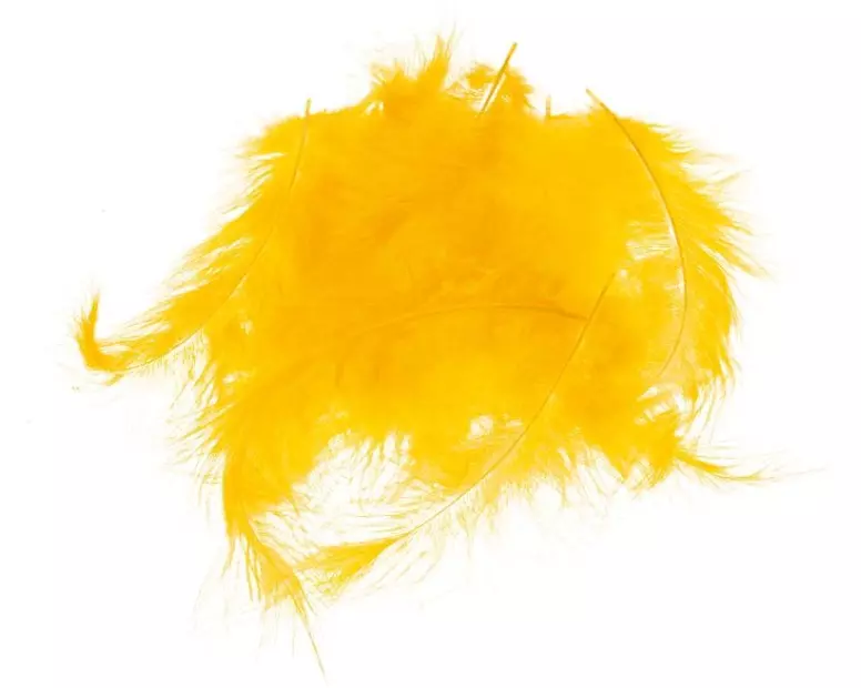 Opiflor Marabufedern 45g, Orange