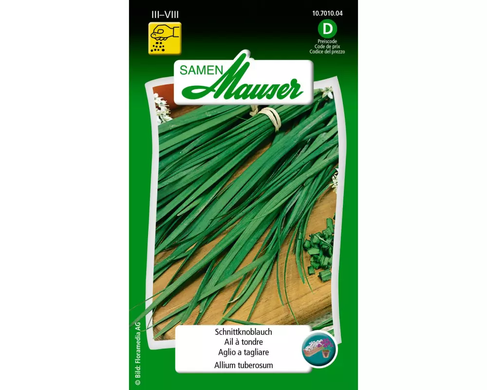 Samen Mauser Samen Schnittknoblauch