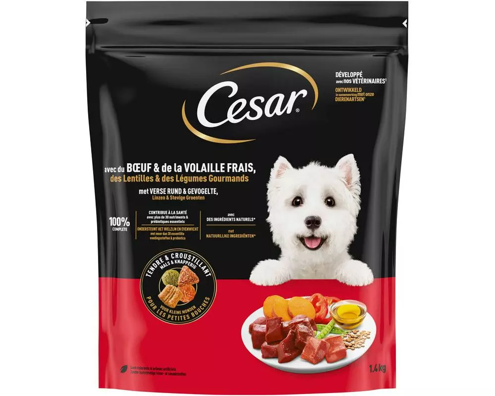 Cesar Trockenfutter Hunters Platter Rind, 1.4 kg