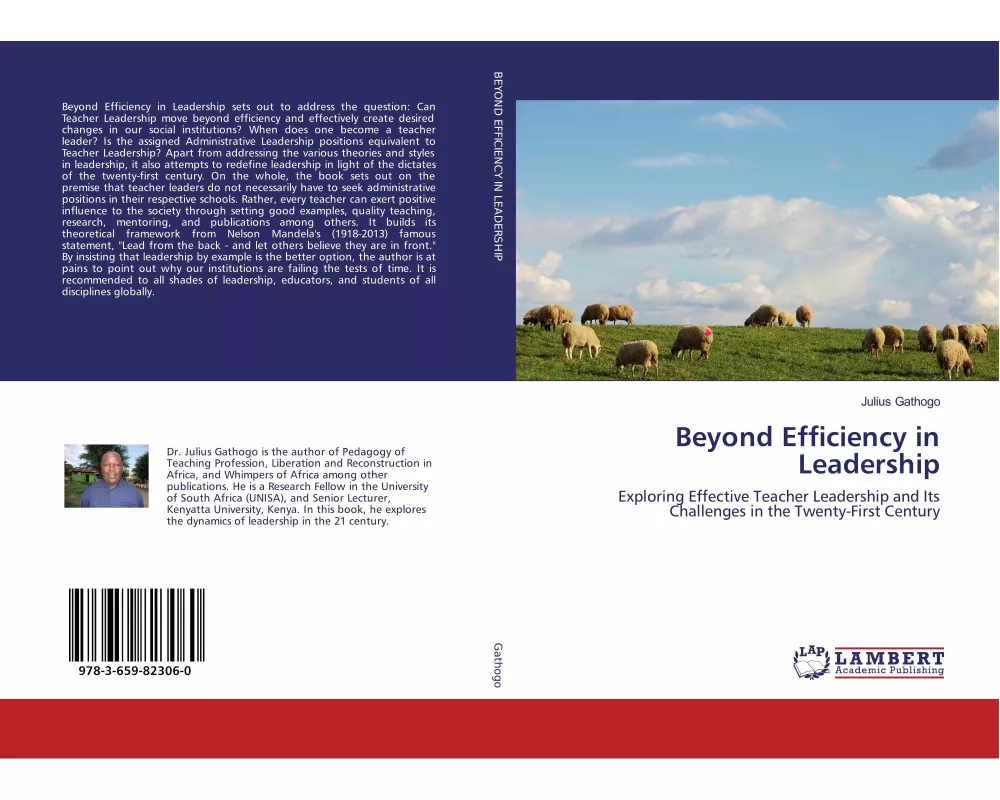 Beyond Efficiency in Leadership